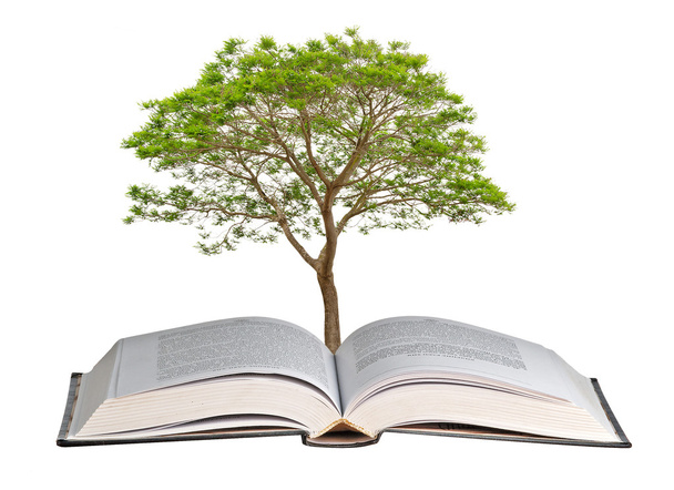 Tree growing from book - Photo, Image