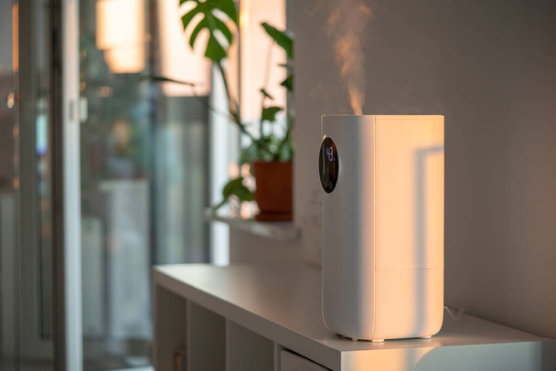 Modern humidifier at home, moistens dry air surrounded by indoor Monstera houseplant. Humidification, plant care, comfortable living conditions concept. Diffuser, apartment with moisturizer - Foto, afbeelding