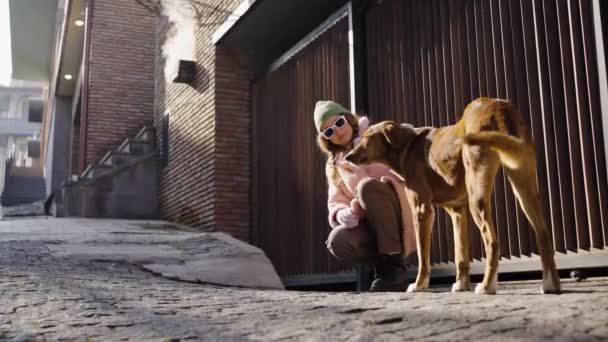 Mujer linda sentada acariciando a un perro jengibre callejero sin hogar al aire libre en un día soleado. Chica voluntaria se encarga de los animales indefensos en un día fresco. - Imágenes, Vídeo