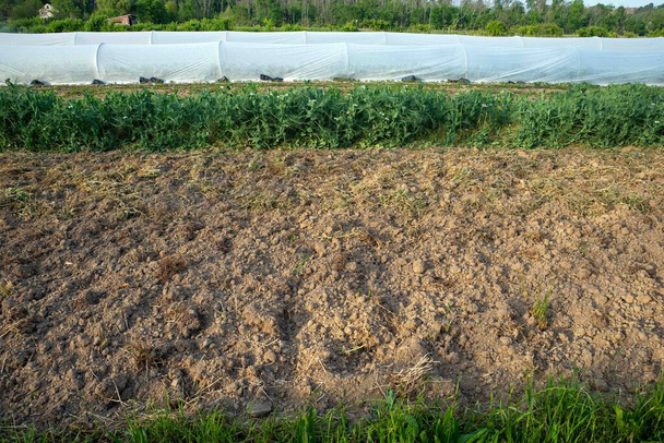 Organik çiftlik, bahçe yatağı için yeni sürülmüş sağlıklı toprak. Sebze sıraları ve yüzen sıra kapakları arka planda görünür - Fotoğraf, Görsel