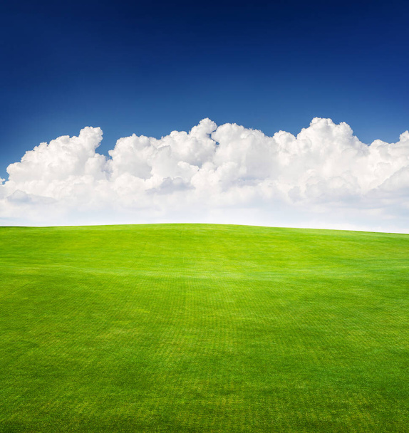 A festői nyári táj jellemző buja zöld fű mező nyúlik a kék ég alatt festői felhők - Fotó, kép