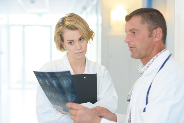 Medical workers looking at xrays - Foto, Bild