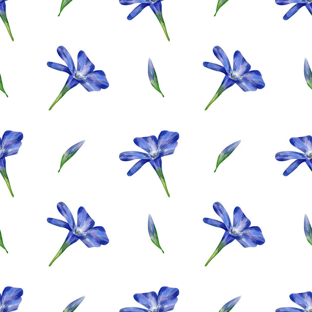 Seamless periwinkle flowers pattern. Watercolor floral background with blue and violet flower, bud for textile, wallpaper, wrapping , decor design - Photo, Image