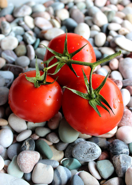 Kolme tuoretta kokonaisia tomaatteja sileä Rocks Top View pystysuora varastossa Photo - Valokuva, kuva