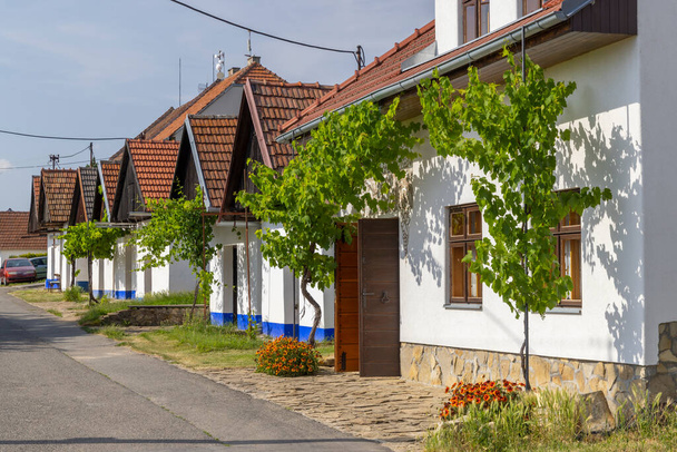Traditional wine cellars in Blatnice pod Svatym Antoninkem, Slovacko, Southern Moravia, Czech Republic - Foto, immagini