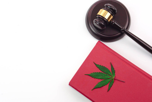 Вид сверху на свежий каннабисный лист или лист марихуаны, помещенный на книгу с молотком на боку. - Фото, изображение