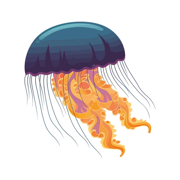 Medusas submarinas de colores nadan sobre blanco - Vector, Imagen