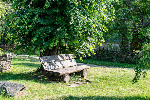 скамейка в парке. Киев, Пирогово, парк украинской культуры, 2023 - Фото, изображение