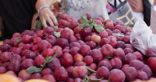 Close-up de vendedores mãos pegando frutas de ameixa em um saco no mercado. Belas frutas orgânicas frescas da fazenda no bazar. Imagens 4k de alta qualidade - Filmagem, Vídeo