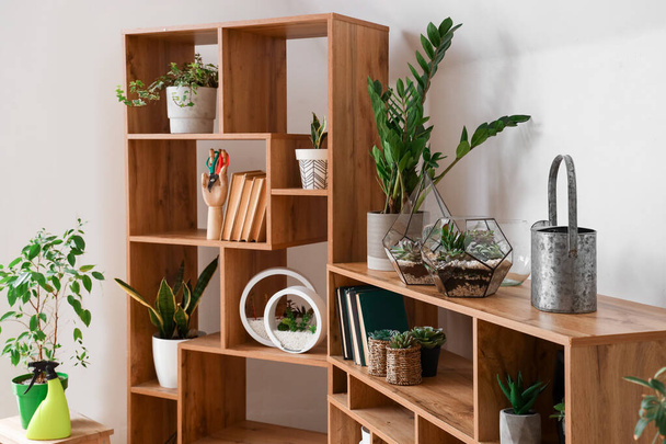 Boekenkast met floraria en kamerplanten in lichte kamer - Foto, afbeelding