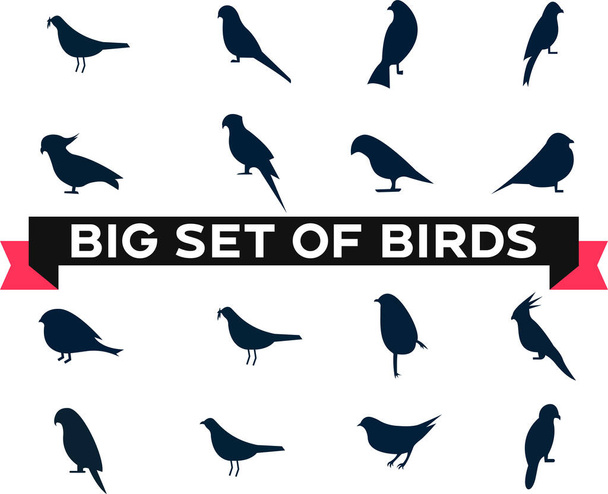Силуэты птиц и новые иконки птиц - Вектор,изображение