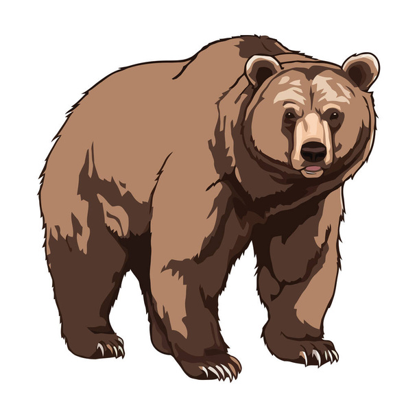 Roztomilý medvěd grizzly chůze v přírodě ikona izolované - Vektor, obrázek