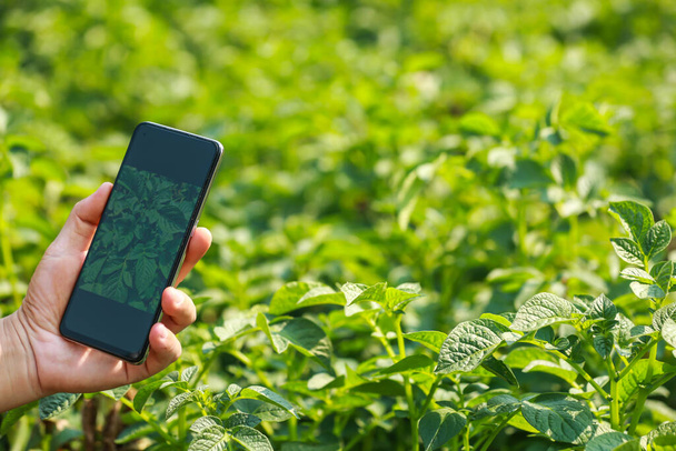 Χέρια του γεωργού, Γεωργία τεχνολογία γεωργός που χρησιμοποιεί tablet Σύγχρονη έννοια της τεχνολογίας γεωργία. - Φωτογραφία, εικόνα