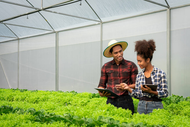 Afrikkalainen amerikkalainen pari käsittelyssä asiakirjan ja tutkia kasvua vihannesten hydroponics kasvihuone. - Valokuva, kuva