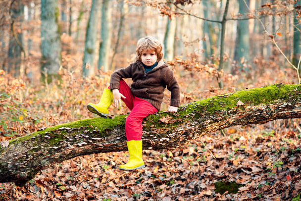 Happy kid boy walking in the Autumn Park. Warm sunny weather - Photo, Image
