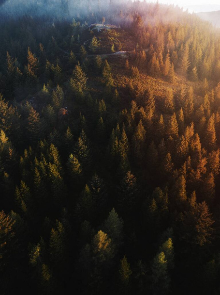 Widok drona parku Whinlatter Forest w Lake District w Anglii - Zdjęcie, obraz