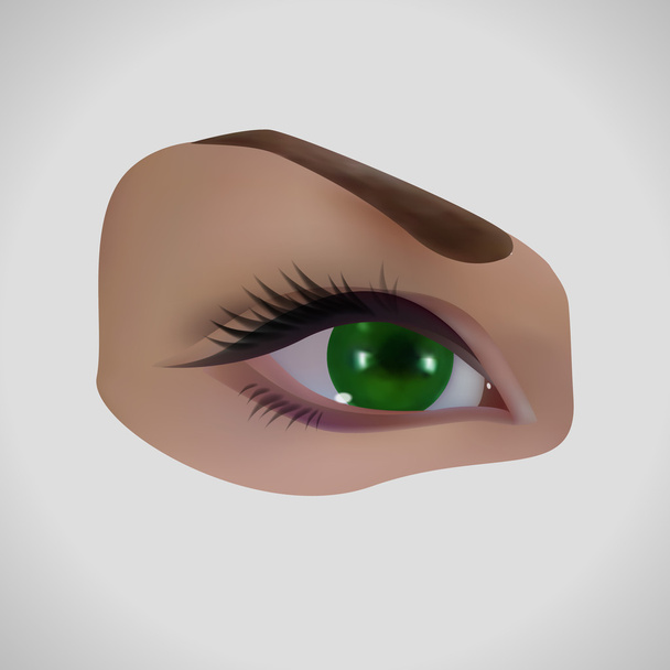 Реалистичный женский глаз
 - Вектор,изображение