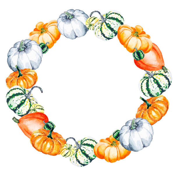 Watercolor illustration of bright pumpkins on white background. Drawn watercolor wreath of vegetables. - Foto, Imagen