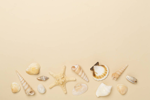 Sea shells on color background, top view - Photo, Image