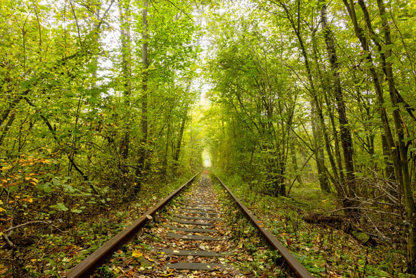 Summer day in the Rivne region of Ukraine. Tunnel of love in Klevan. Railroad and overcast - Foto, imagen