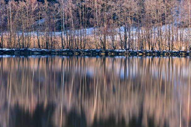 Trees on riverbank reflected in still water - Photo, Image