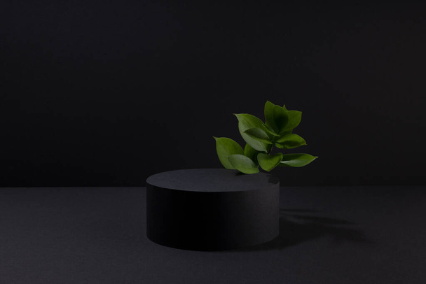 Black abstract stage with one circle podium mockup, bright tropical green leaves, template for presentation cosmetic products, goods, design, advertising, sale in summer vacation, spa resort style. - Fotografie, Obrázek
