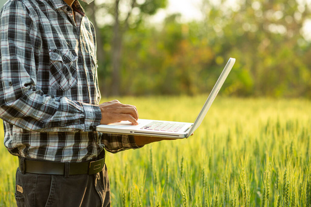 Farmář s digitálním tabletem pracuje na zemědělské koncepci práce na rýžových polích - Fotografie, Obrázek