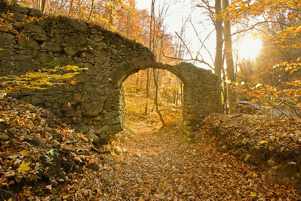 Autumn landscape ancient ruins in an autumnal forest - Photo, Image