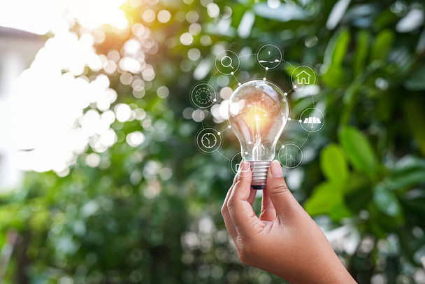 hand holding light bulb against nature, icons energy sources for renewable, - Fotografie, Obrázek