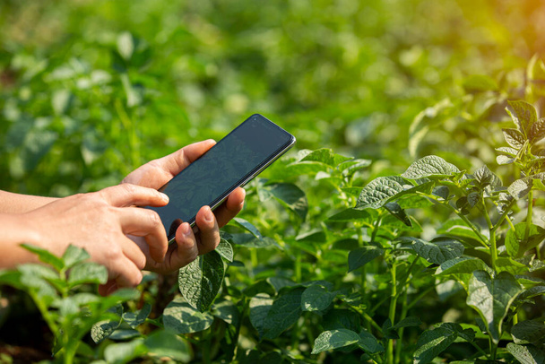 Χέρια του γεωργού, Γεωργία τεχνολογία γεωργός που χρησιμοποιεί tablet Σύγχρονη έννοια της τεχνολογίας γεωργία. - Φωτογραφία, εικόνα