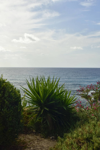 Uitzicht op de kust van Cyprus op een zomervakantie dag. - Foto, afbeelding