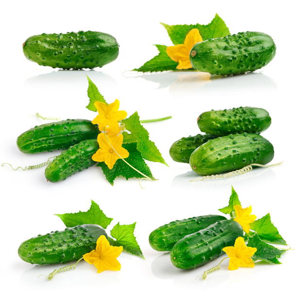 set komkommer vruchten met bladeren - Foto, afbeelding
