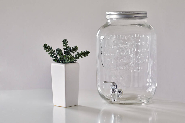 White Table with Succulent Plant in a White Pot and Empty Glass Water Dispenser against a White Wall - Foto, immagini