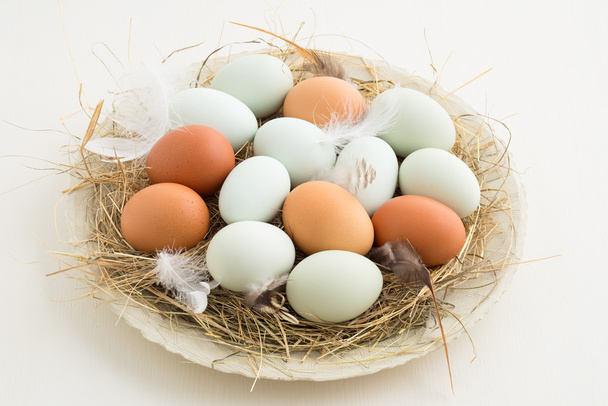 Eggs in a nest - Photo, image