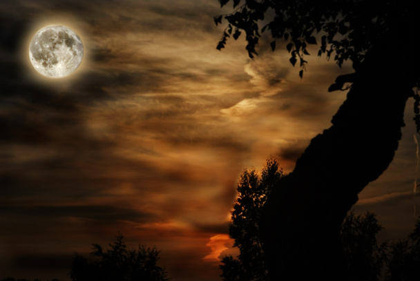 Luna en el cielo nocturno
 - Foto, imagen