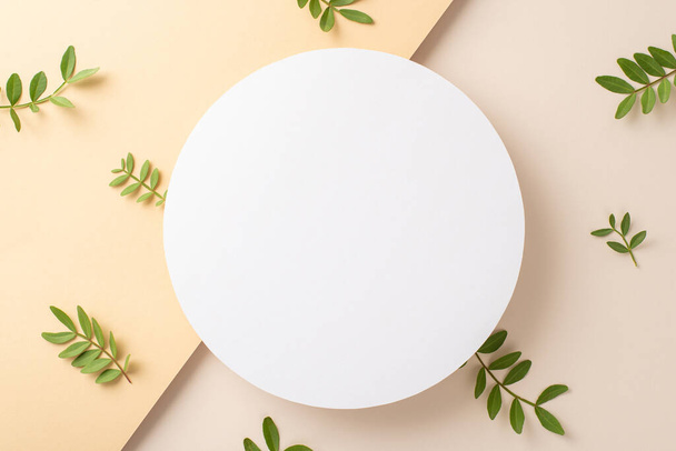 Natural cosmetic products concept. High view photo of empty circle surrounded by eucalyptus foliage on isolated two-toned beige background with copy-space - Photo, image