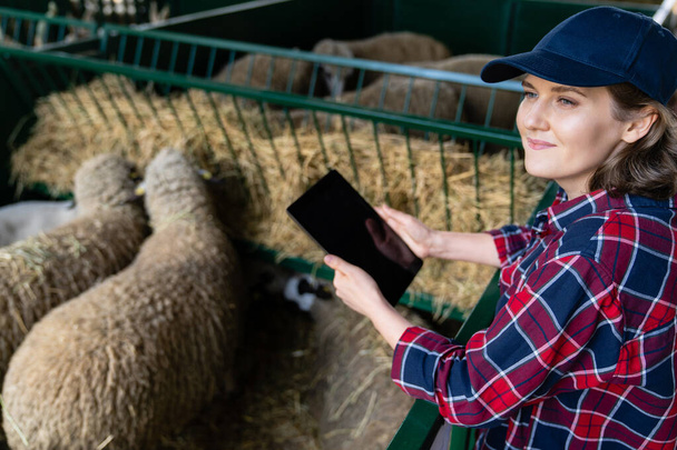Woman farmer with tablet in a sheepfold. Herd management. - Φωτογραφία, εικόνα