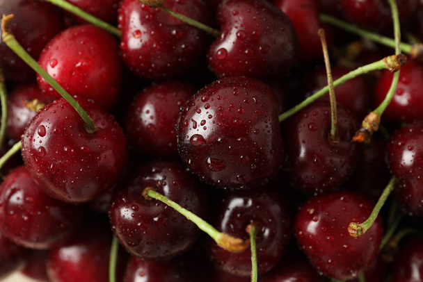 fresh cherry on the white background  - Zdjęcie, obraz