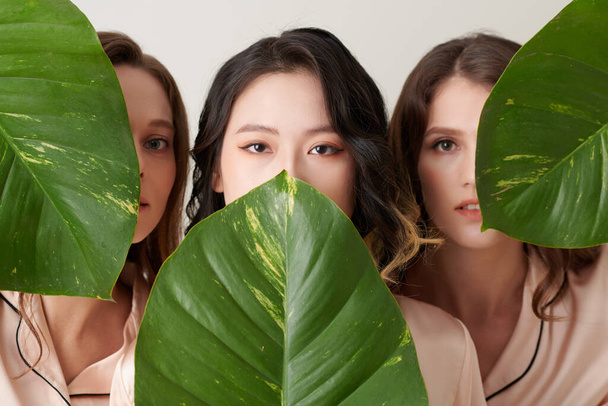 Grupa poważnych urządzeń młode kobiety zakrywające twarze zielonymi liśćmi - Zdjęcie, obraz