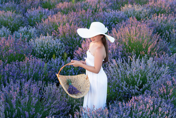 Teen girl in a dress and hat in lavender park. teen girl with lavender in field. Teen girl with lavender flower standing in the field. teen girl with lavender holding a flower bouquet. - Photo, image