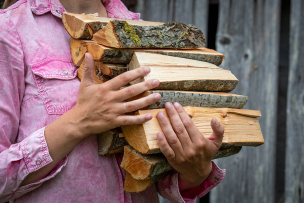 Dry chopped firewood in the hands of a woman. - Fotoğraf, Görsel