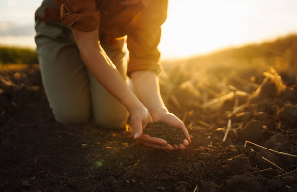  Expert hand of farmer checking soil health before growth a seed of vegetable or plant seedling. Business or ecology concept. - 写真・画像