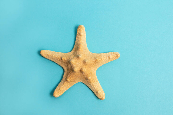 Starfish on blue background. Minimal summer concept. - Photo, Image