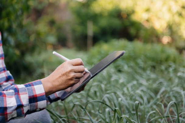 Farmer man using digital tablet computer in field, technology application in agricultural growing activity, in morning light - Fotografie, Obrázek