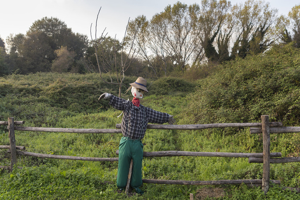 Scarecrow in a vegetable garden in a countryside - Photo, Image