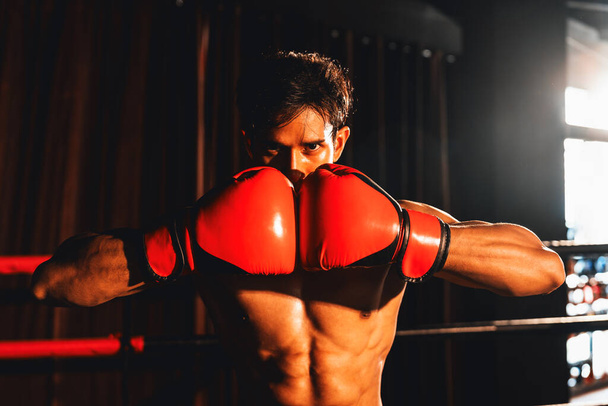 Muay Thai boxer punč ryby ruku dohromady před kamerou v připraven bojovat postoj pózování v tělocvičně s boxerským vybavením v pozadí. Soustředěné odhodlané oko a připravit se na výzvu. Impetus - Fotografie, Obrázek
