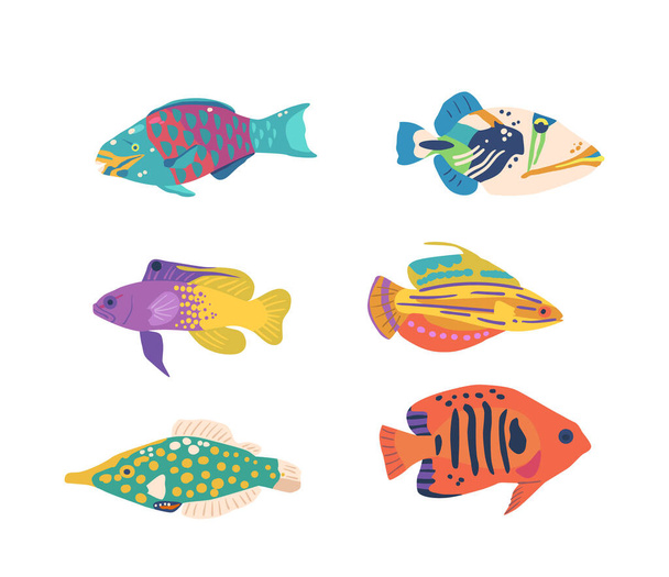 Vibrant And Diverse, Sea Fishes Inhabit Oceans Worldwide. Their Mesmerizing Colors And Unique Adaptations Make Them A Captivating Sight For Divers And Nature Enthusiasts. Cartoon Vector Illustration - Vektör, Görsel