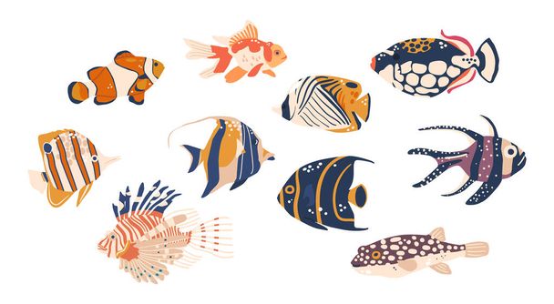 Vielfältige und lebendige Meeresfische bewohnen weltweit Unterwasser-Ökosysteme. Von farbenfrohen tropischen Arten zu majestätischen Tiefseekreaturen, Schönheit und Biodiversität der Ozeane. Zeichentrickvektorillustration - Vektor, Bild