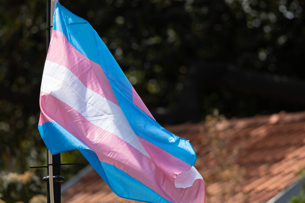 A transgender flag outdoors at the pride month. Mid shot - 写真・画像