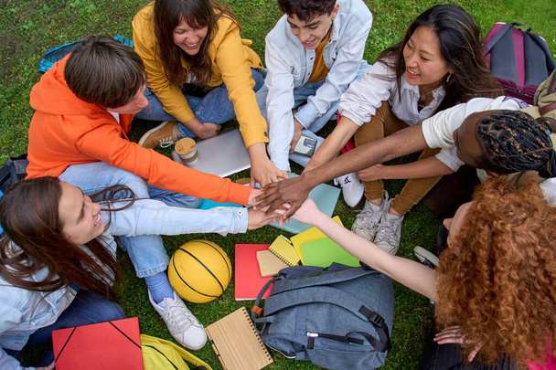 Widok z góry portret wieloetnicznych młodych studentów łączących ręce w kręgu siedzącym na trawniku kampusu uniwersyteckiego. Zebrali się ludzie cieszący się przerwą. Pokolenie z i przyjazne relacje. - Zdjęcie, obraz